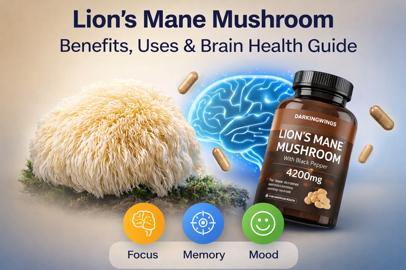 Lion’s Mane Mushroom Benefits | Natural Brain & Focus Support