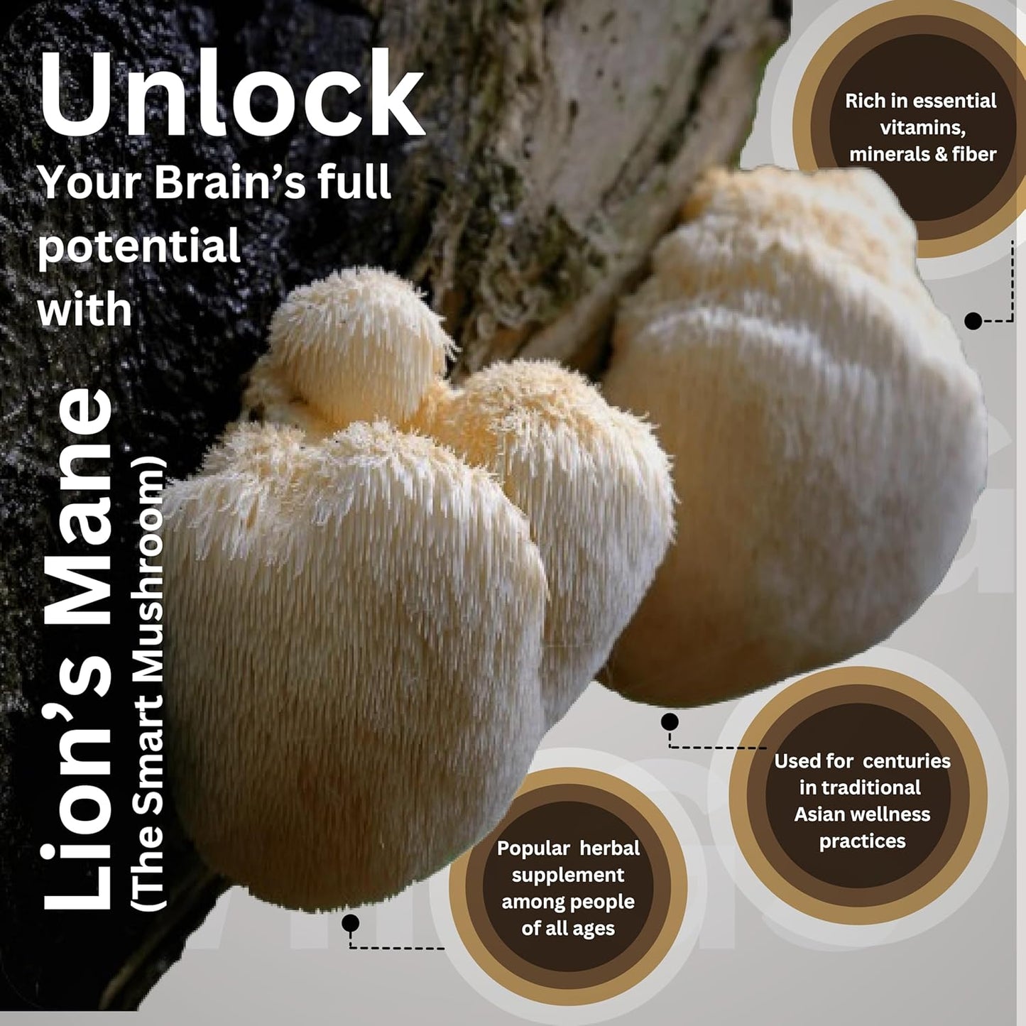 Lions Mane Supplement Capsules 4200mg