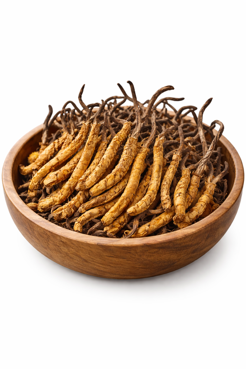 Cordyceps Mushroom