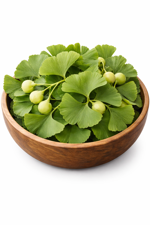 Ginkgo Biloba